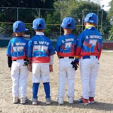 Categoría Formación